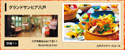 �O�����h�T���s�A����